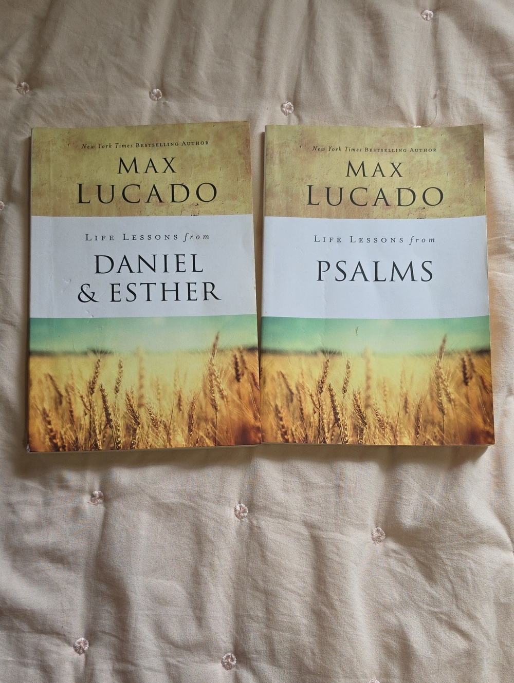 Max Lucado Life Lessons Bible Study Books.